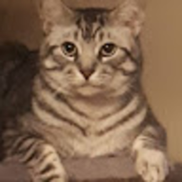 scatchalot